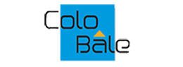 logo hébergeur ColoBale AG by ImproWare AG